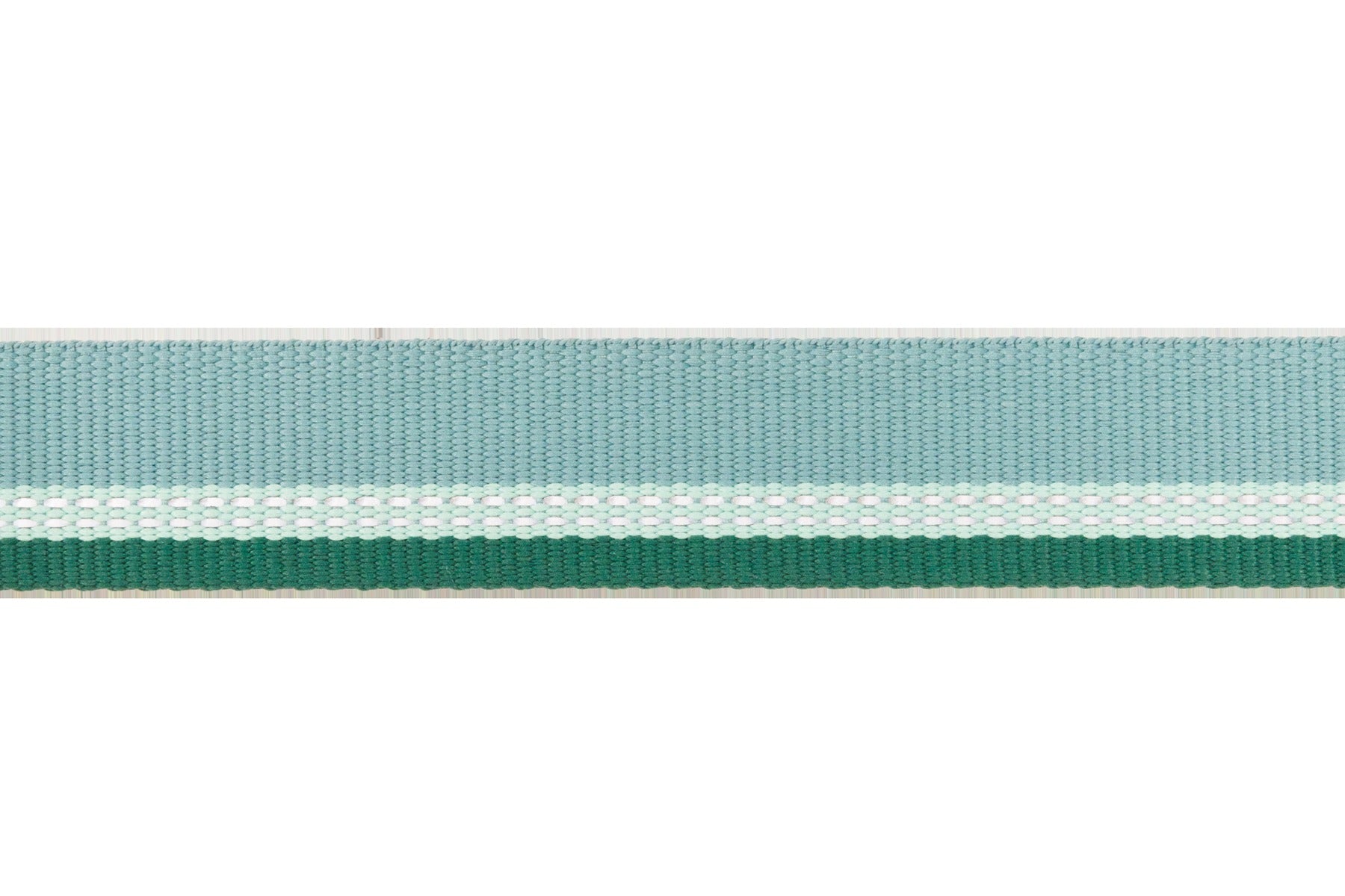 Top RopeTM Metal Buckle Dog Collar
