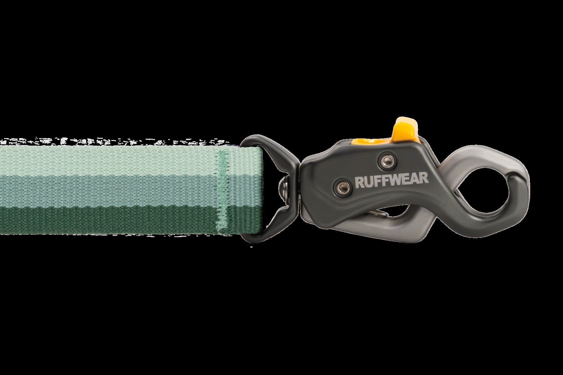 Roamer LockTM Bungee Dog Leash