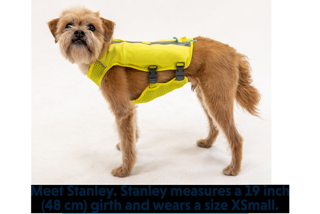 Trail RunnerTM Dog Running Vest