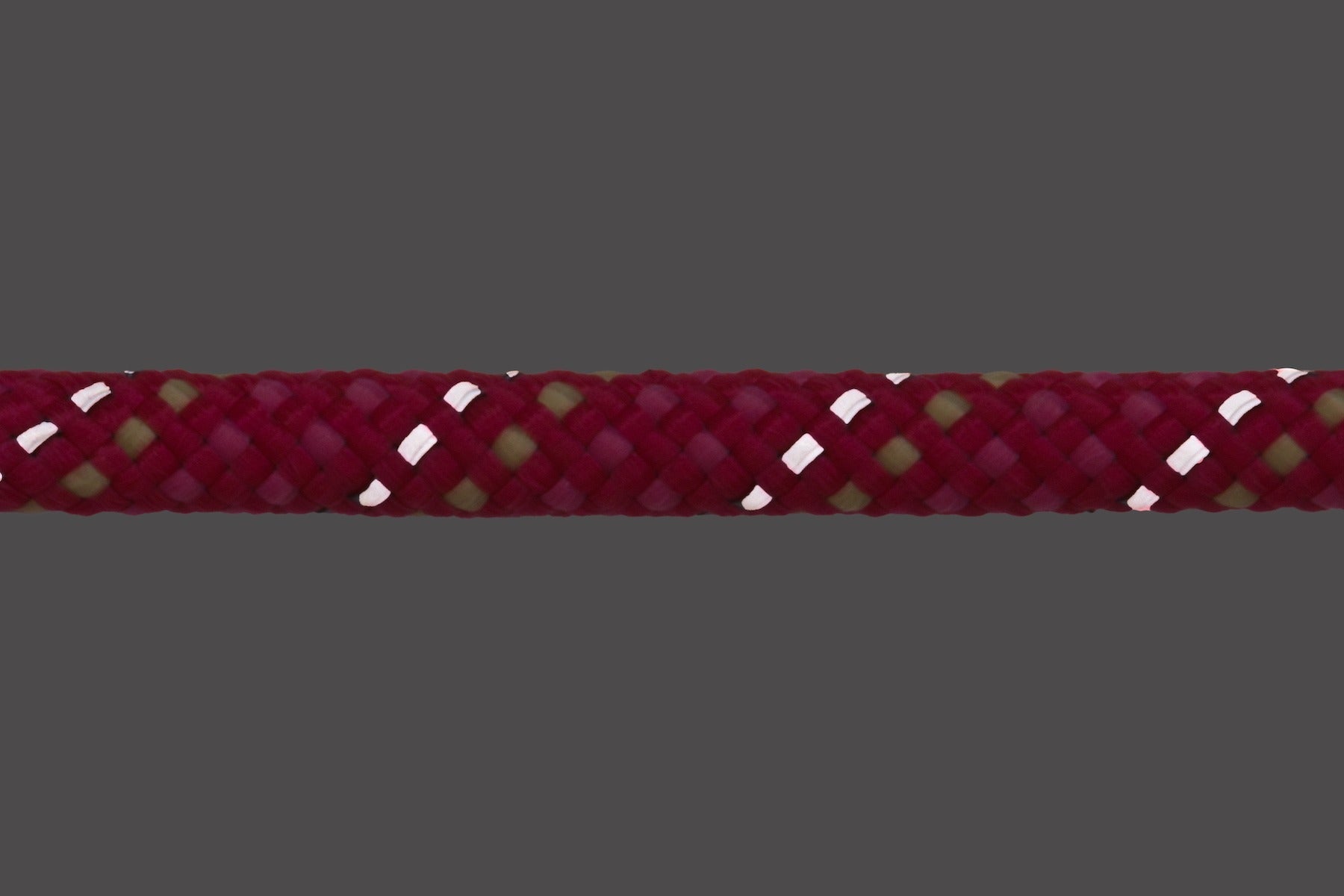 Knot-a-CollarTM Rope Dog Collar