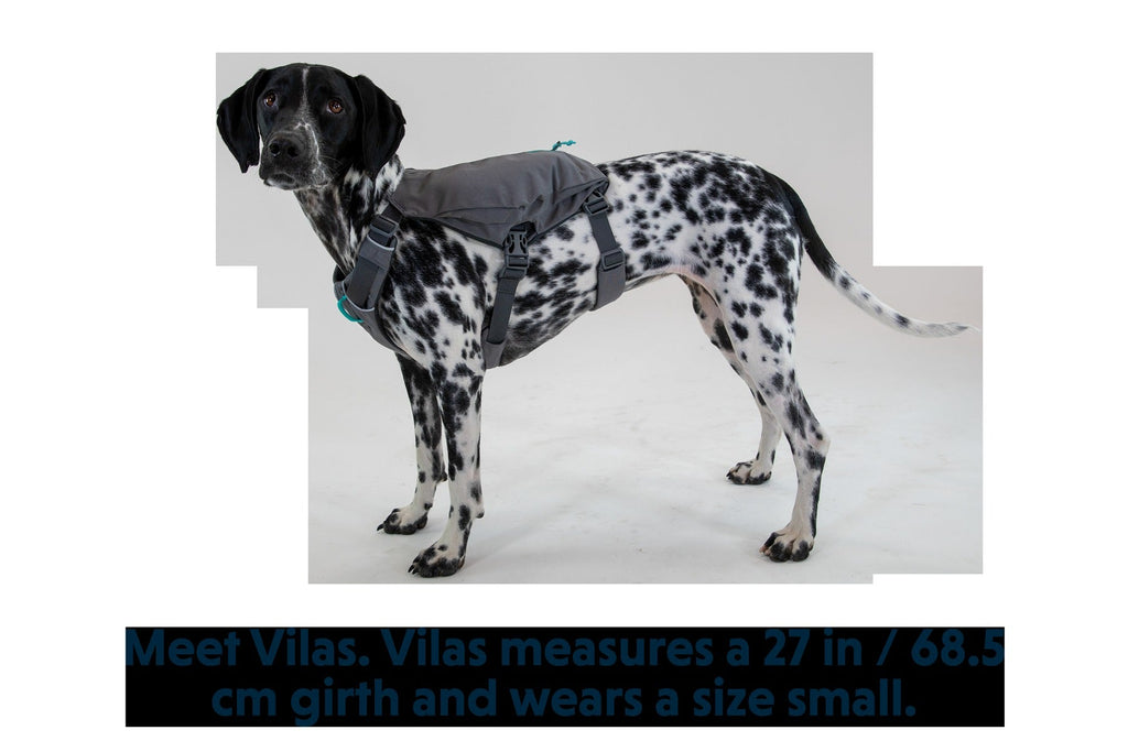 SwitchbakTM Dog Harness