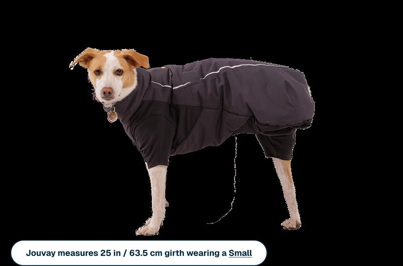 Powder HoundTM Waterproof Insulated Coverall