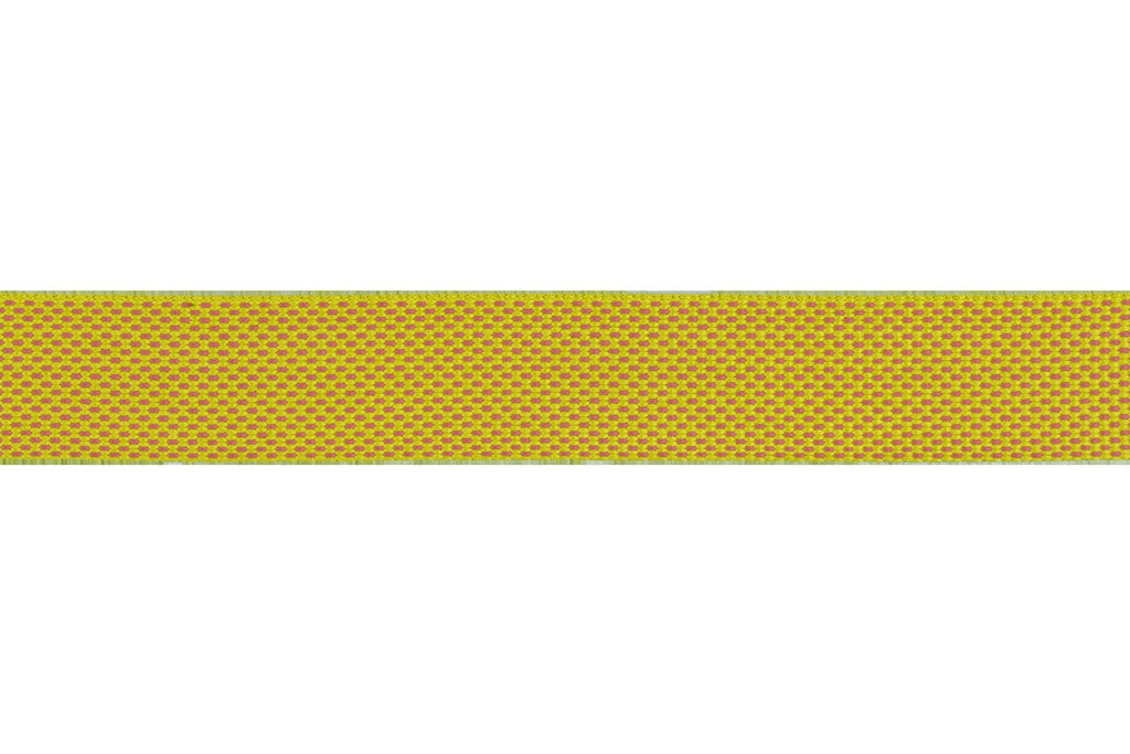 FlaglineTM Dog Leash
