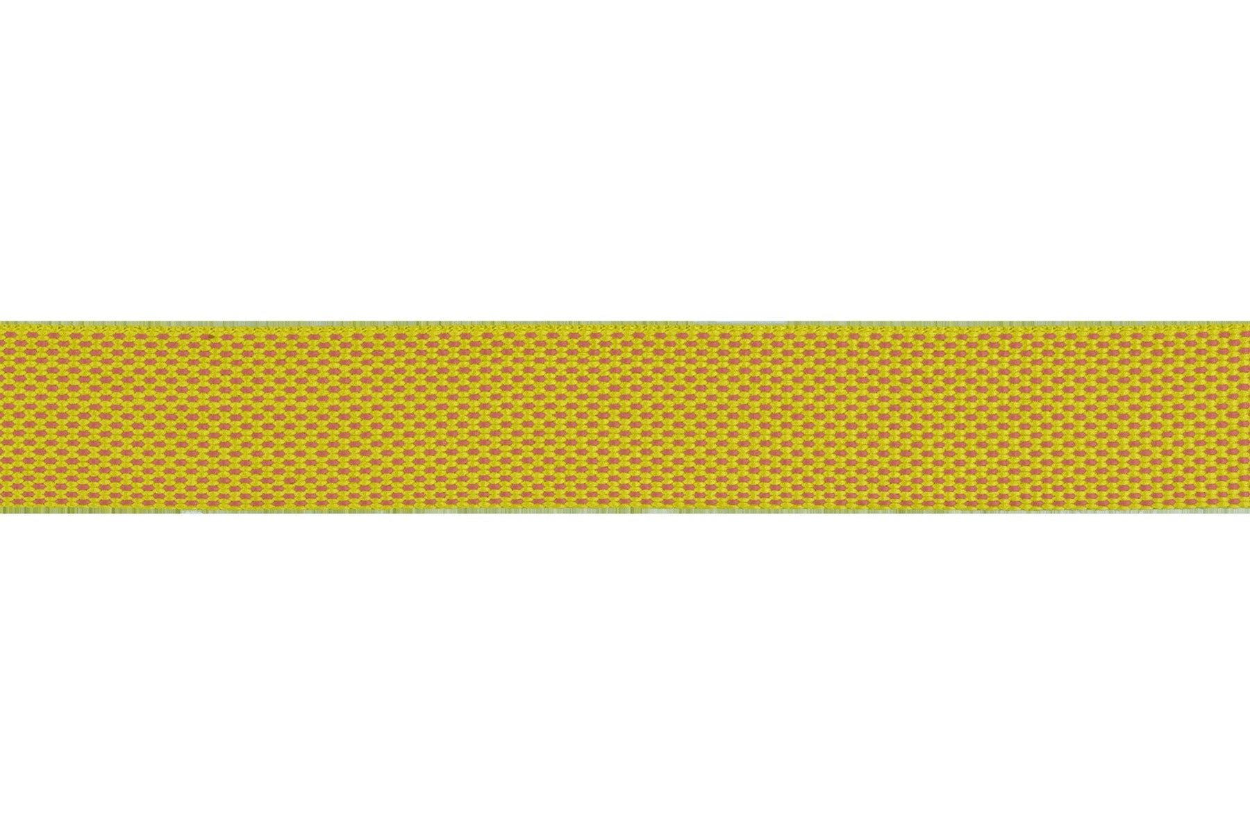 FlaglineTM Dog Leash