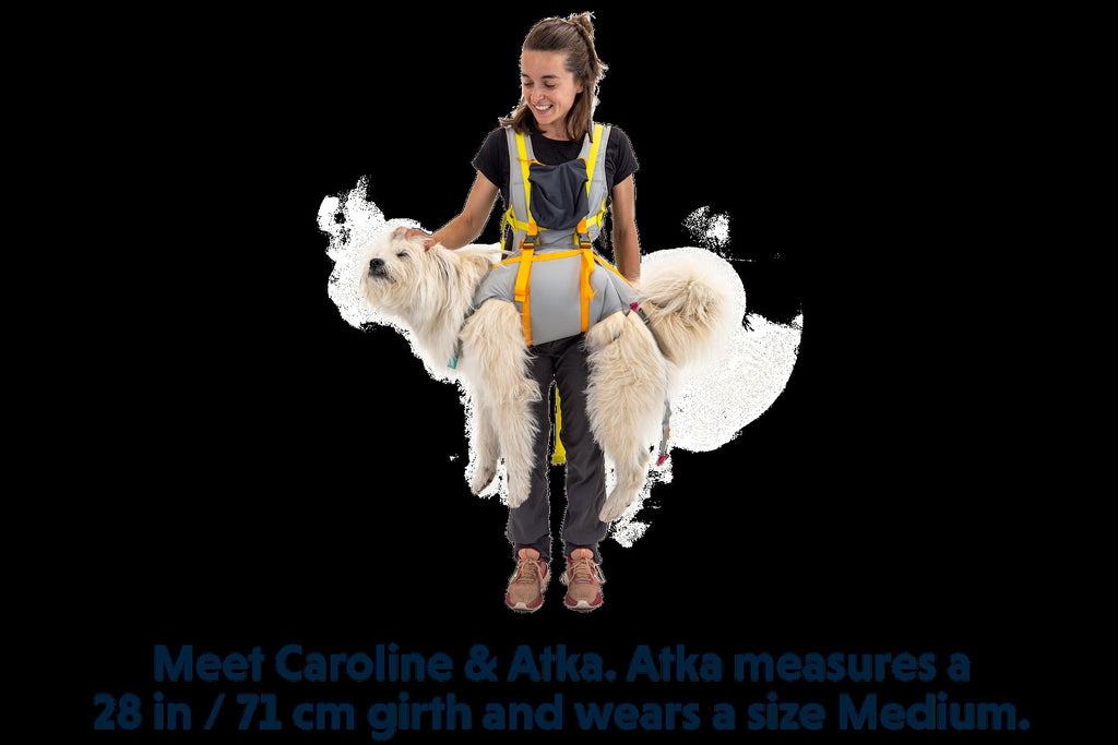 BackTrakTM Dog Evacuation Kit