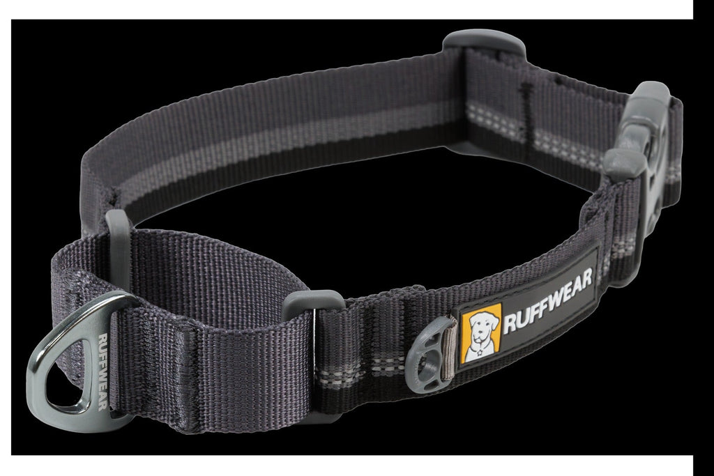 Web ReactionTM Martingale Dog Collar With Buckle