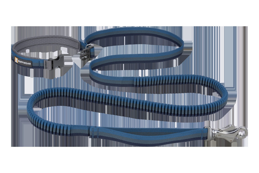 RoamerTM Bungee Dog Leash