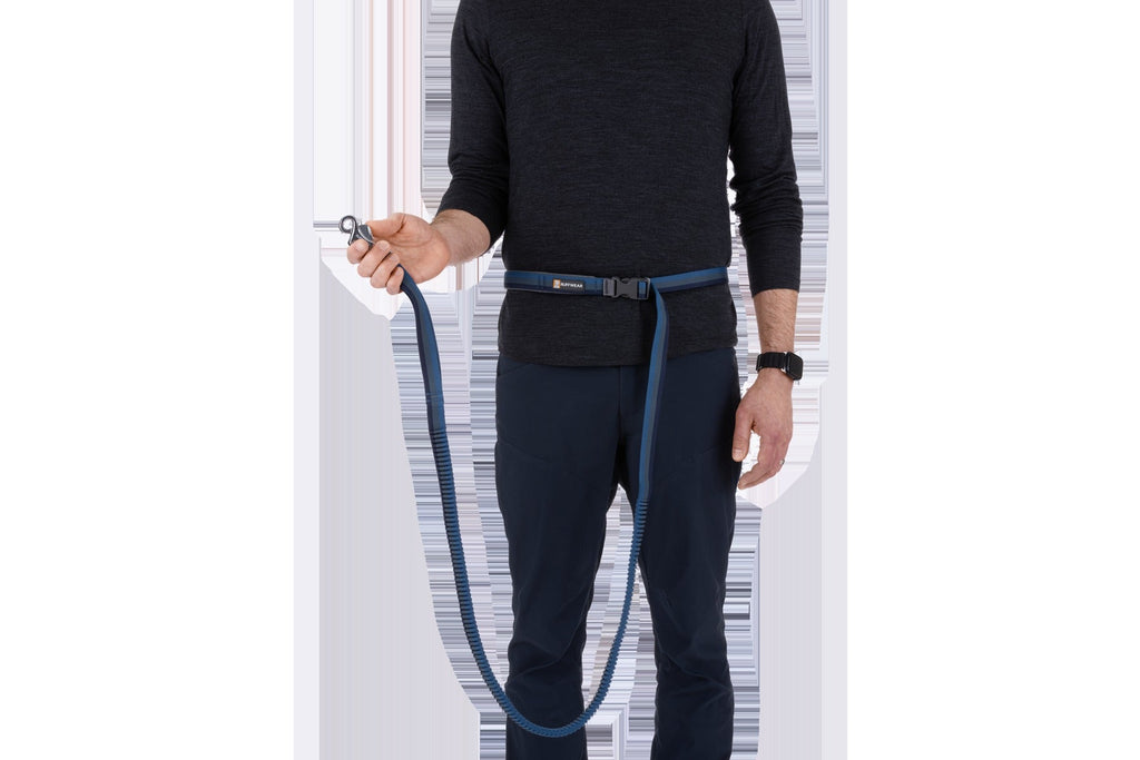 RoamerTM Bungee Dog Leash