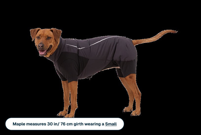 Powder HoundTM Waterproof Insulated Coverall