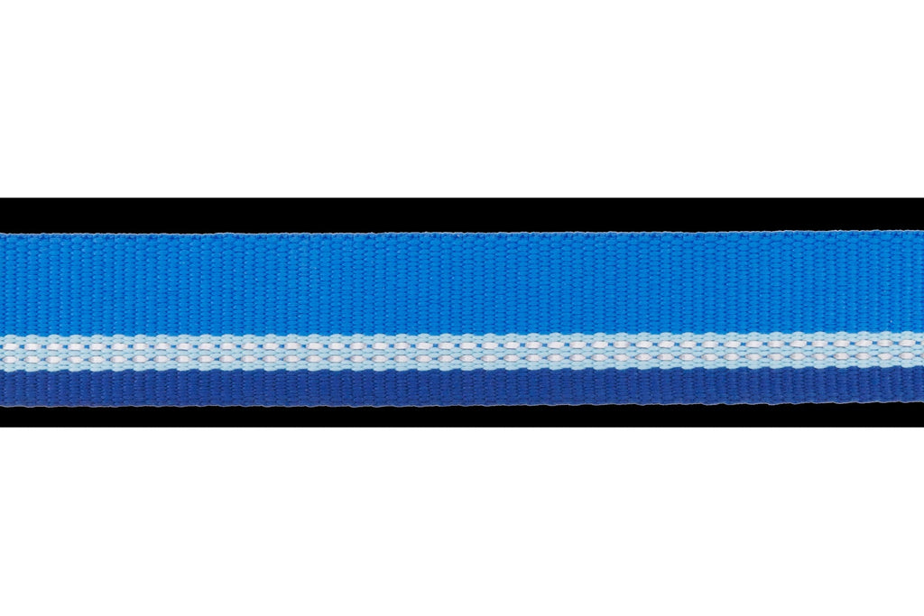 Top RopeTM Metal Buckle Dog Collar
