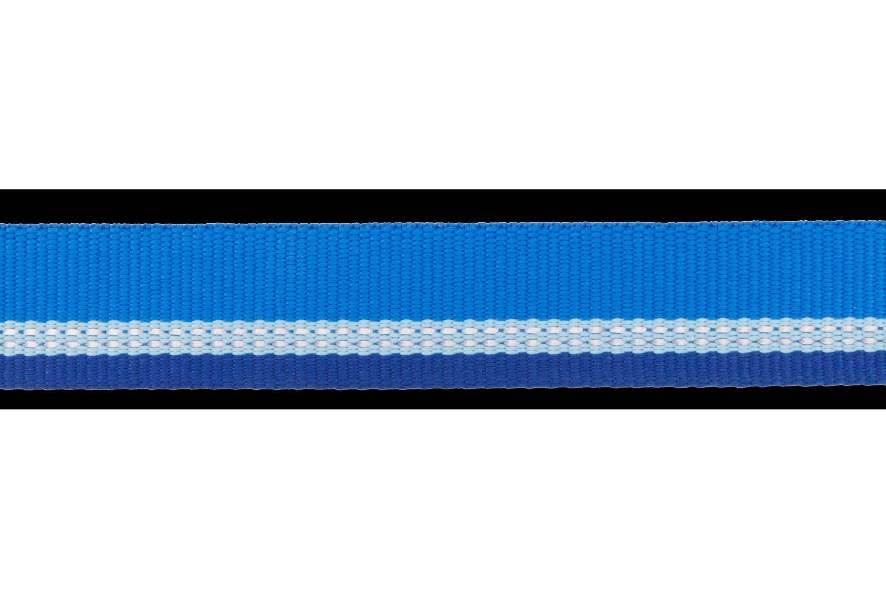 Top RopeTM Metal Buckle Dog Collar