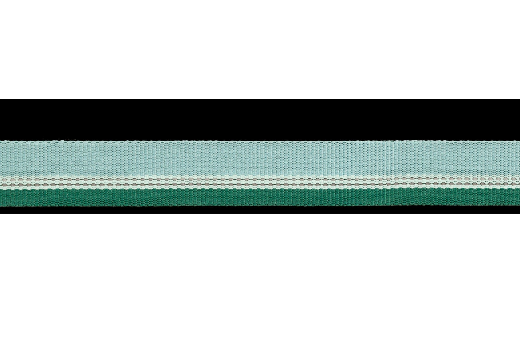 Chain ReactionTM Martingale Dog Collar