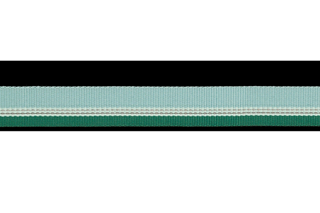 Chain ReactionTM Martingale Dog Collar