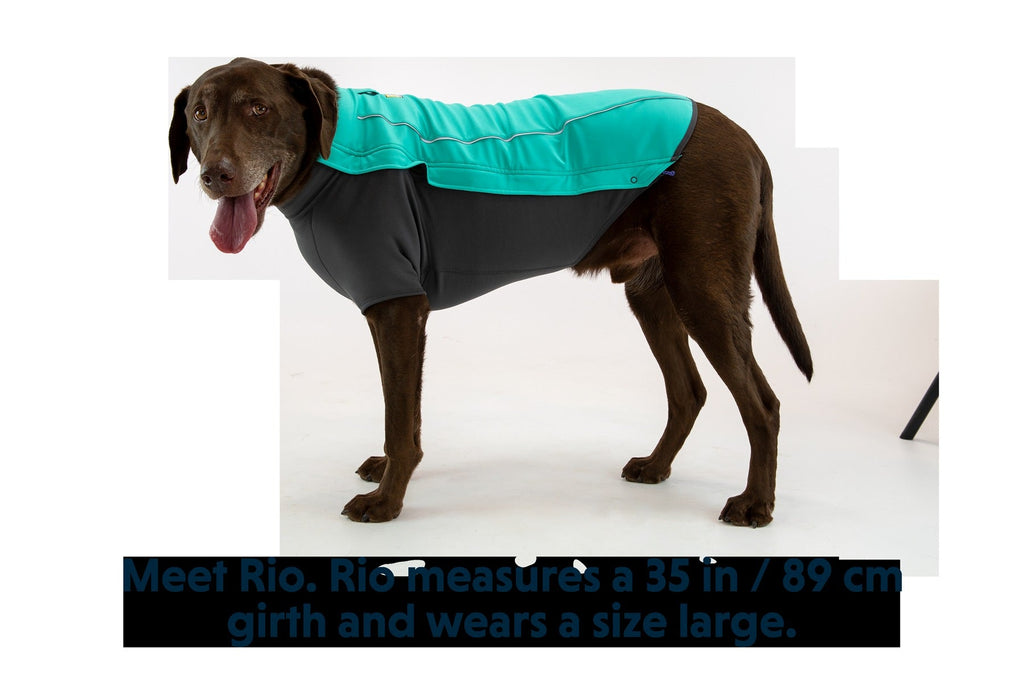 Cloud ChaserTM Dog Jacket