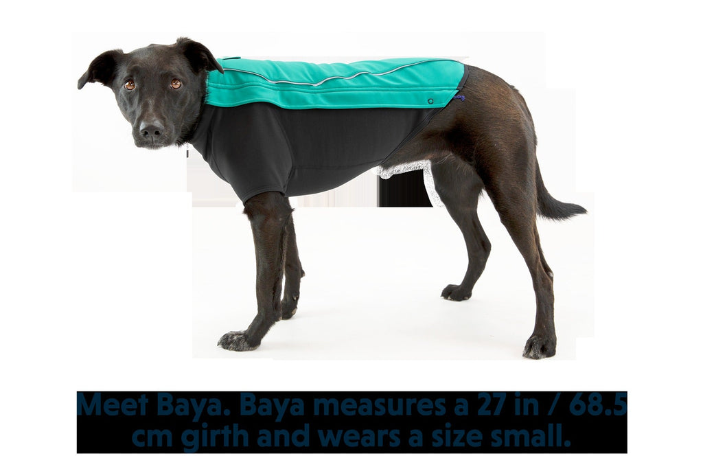 Cloud ChaserTM Dog Jacket