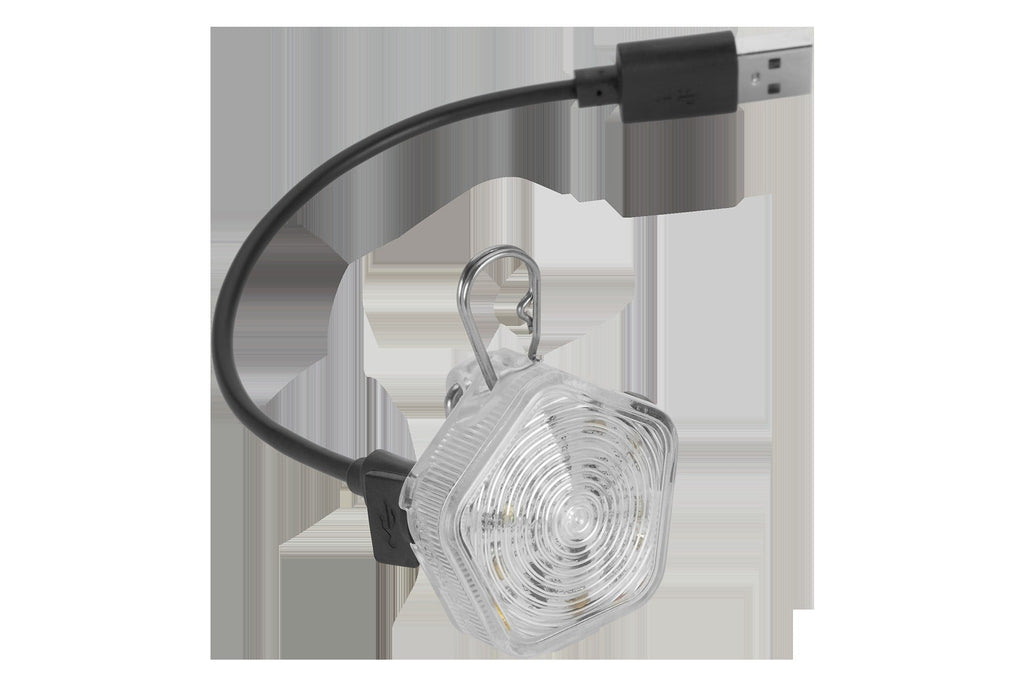 The BeaconTM Dog Safety Light
