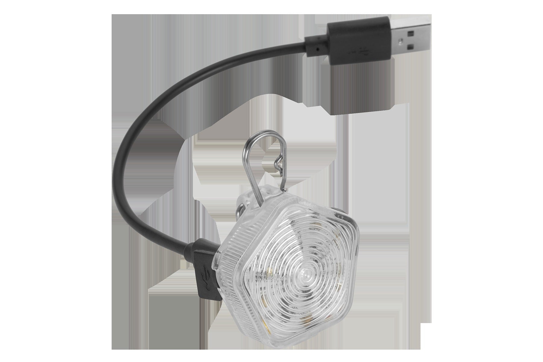 The BeaconTM Dog Safety Light