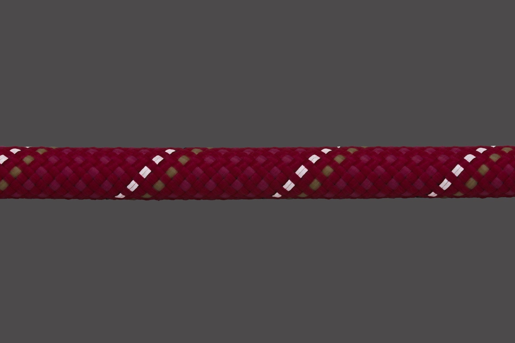 Just-a-CinchTM Dog Leash