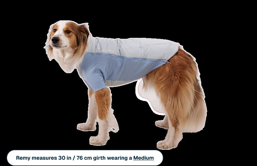 Powder HoundTM Waterproof Insulated Jacket