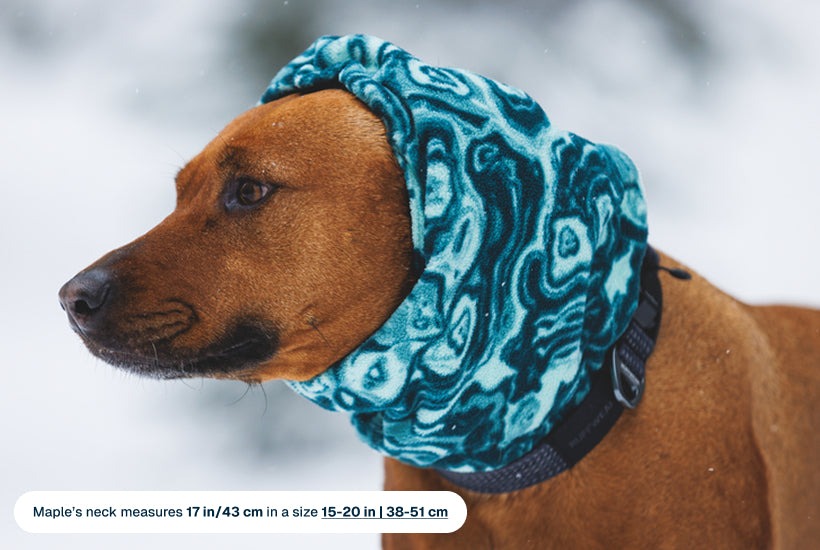 Mt. HoodieTM Warming Neck Gaiter