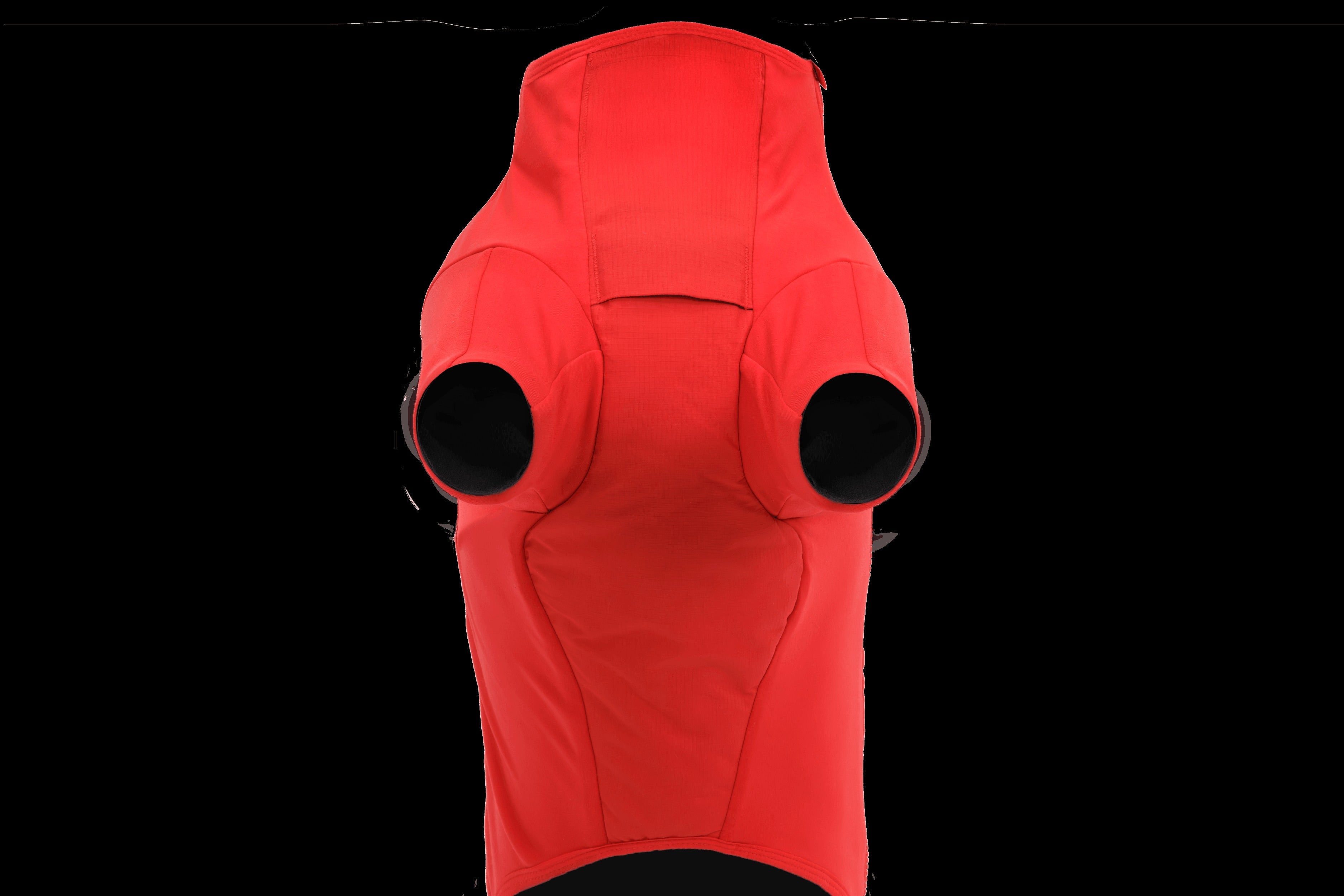 Powder HoundTM Waterproof Insulated Jacket