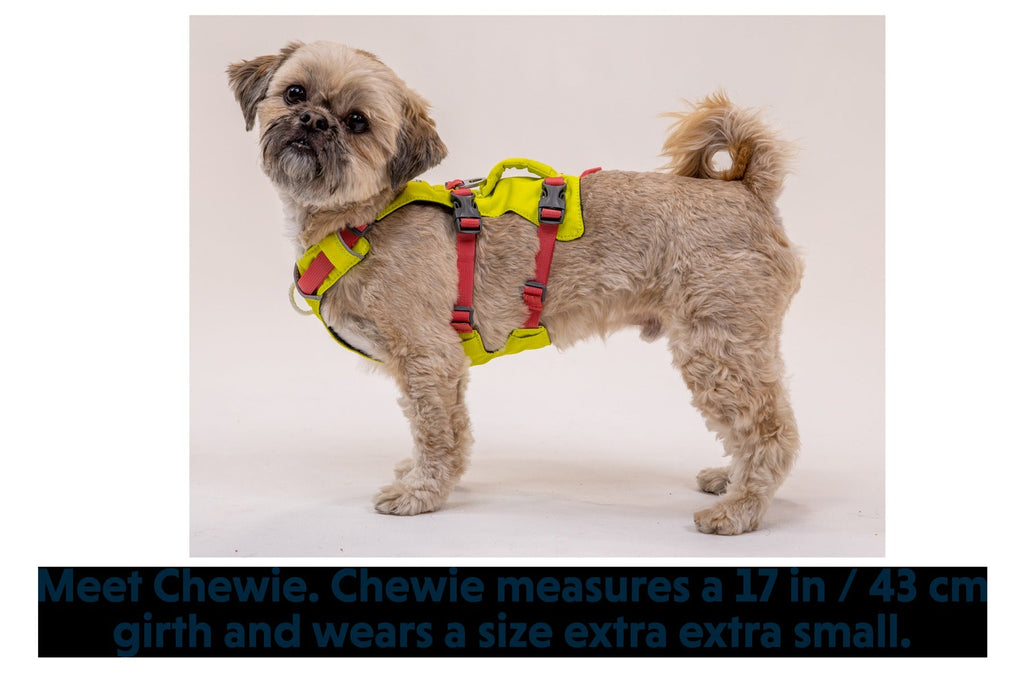 FlaglineTM Dog Harness with Handle