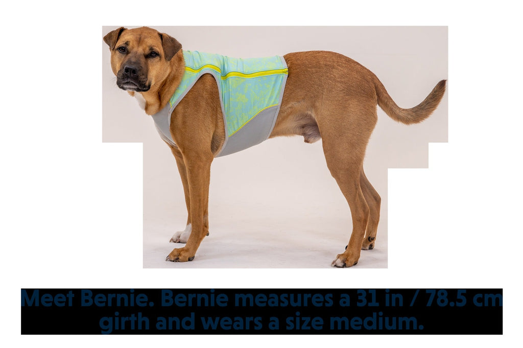 Swamp Cooler ZipTM Cooling Dog Vest