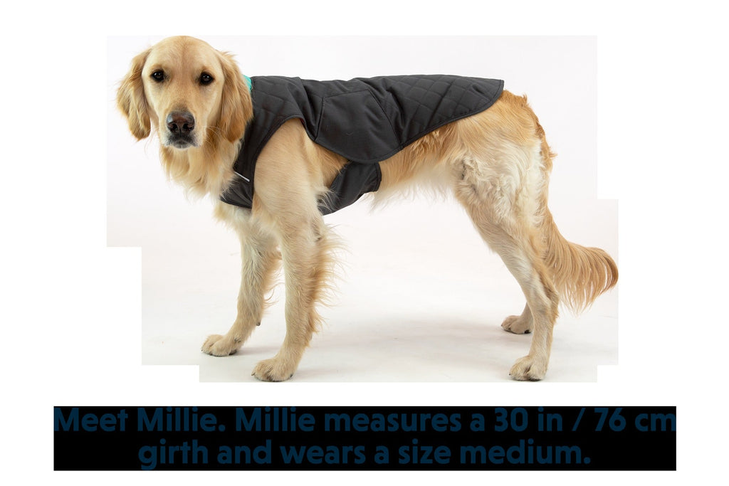 StumptownTM Insulated Vest