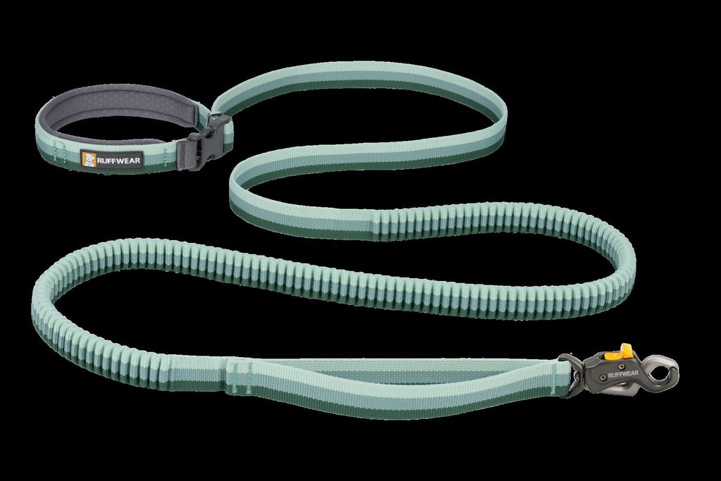 Roamer LockTM Bungee Dog Leash