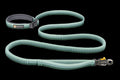 Roamer LockTM Bungee Dog Leash