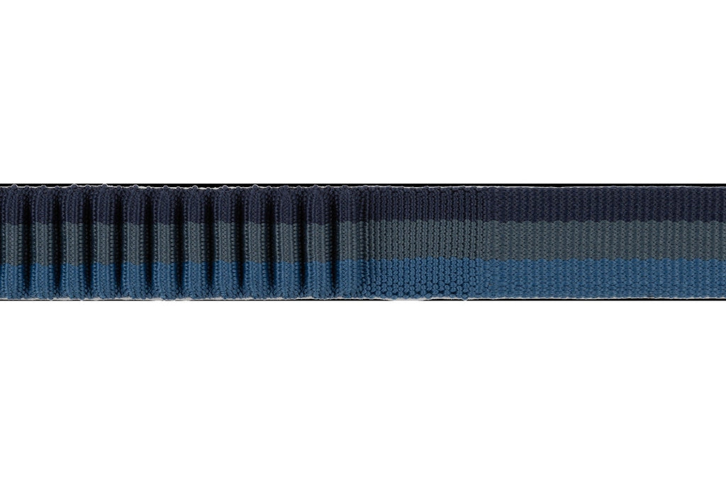 RoamerTM Bungee Dog Leash