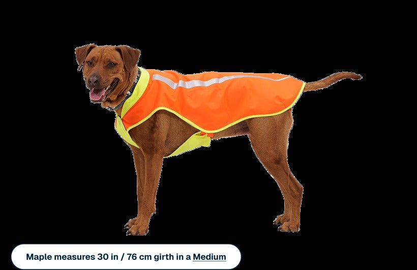 LumenglowTM High-Vis Vest