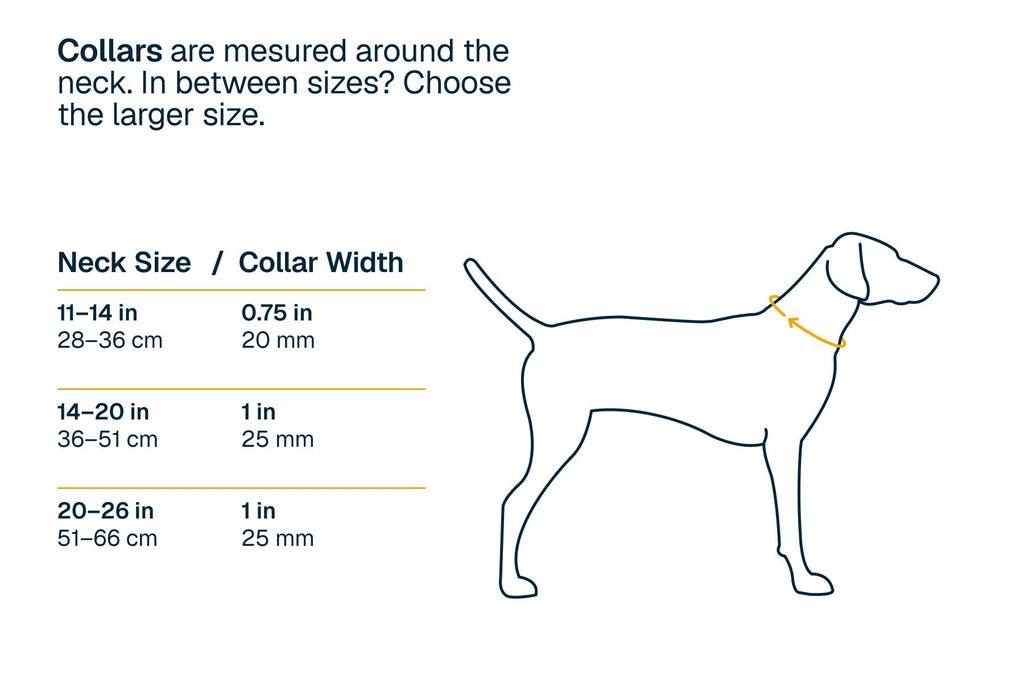RidgelineTM Collar