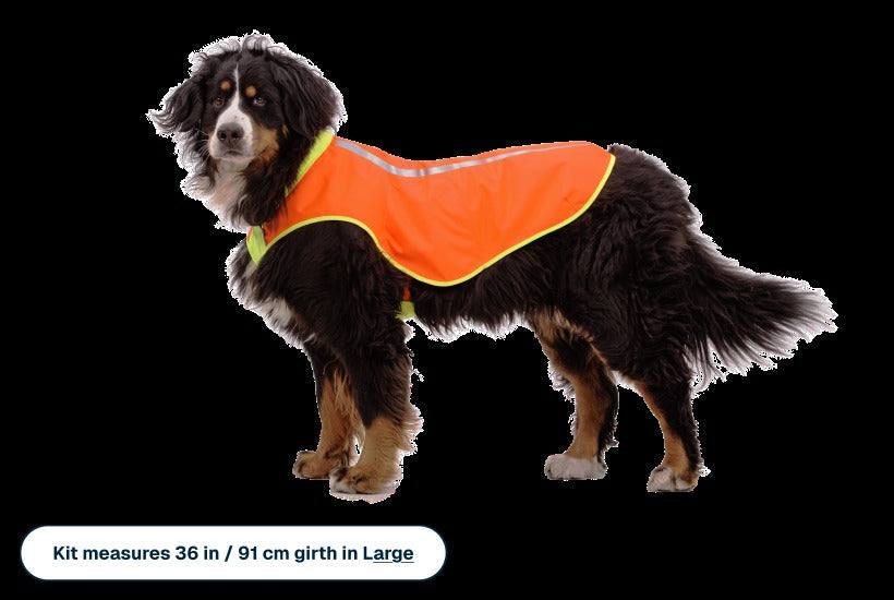 LumenglowTM High-Vis Vest