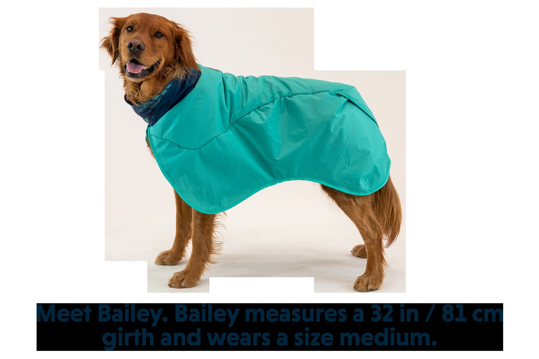 DirtbagTM Dog Towel
