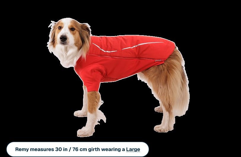 Powder HoundTM Waterproof Insulated Jacket