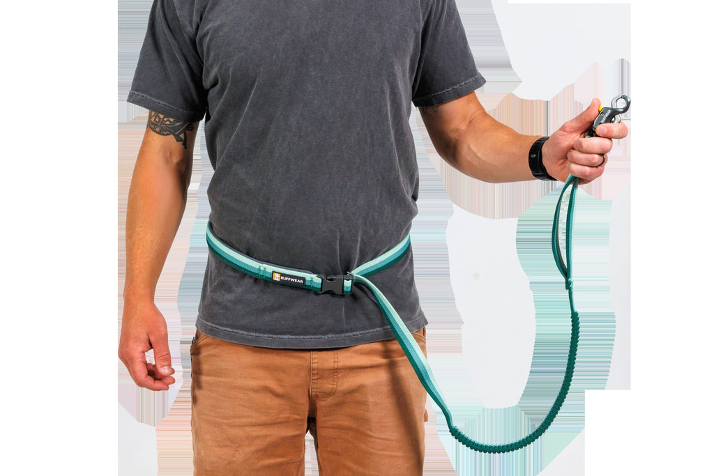 Roamer LockTM Bungee Dog Leash