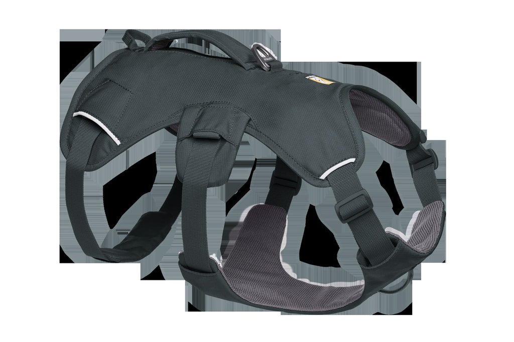 Dog Beds & Pads
