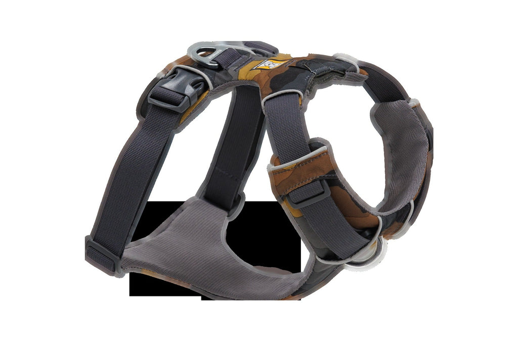 404
