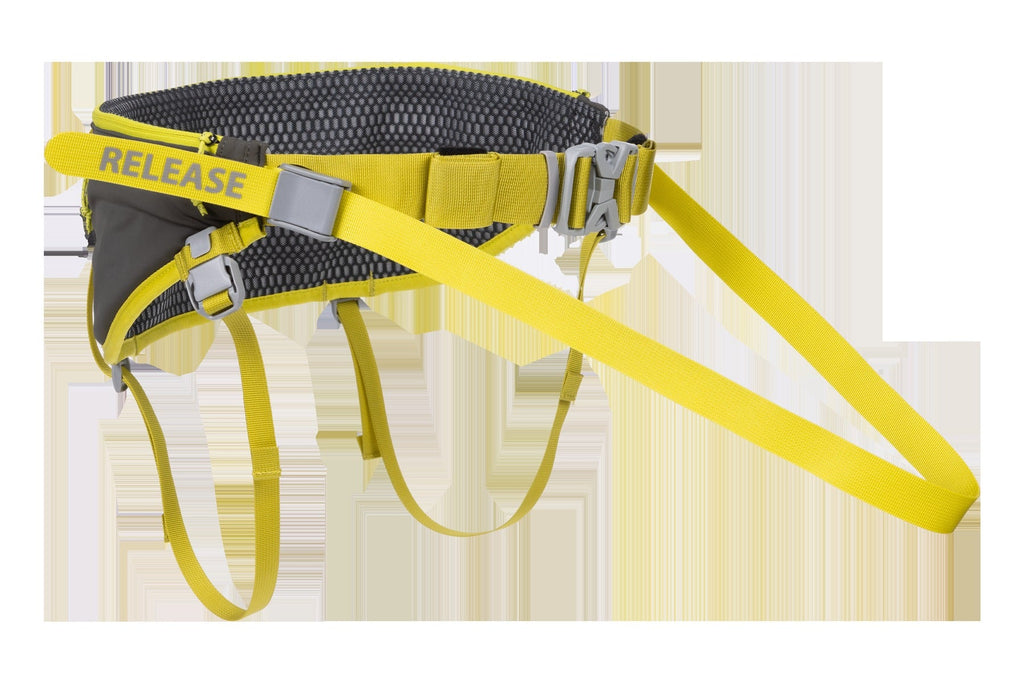 OmnijoreTM Dog Joring System