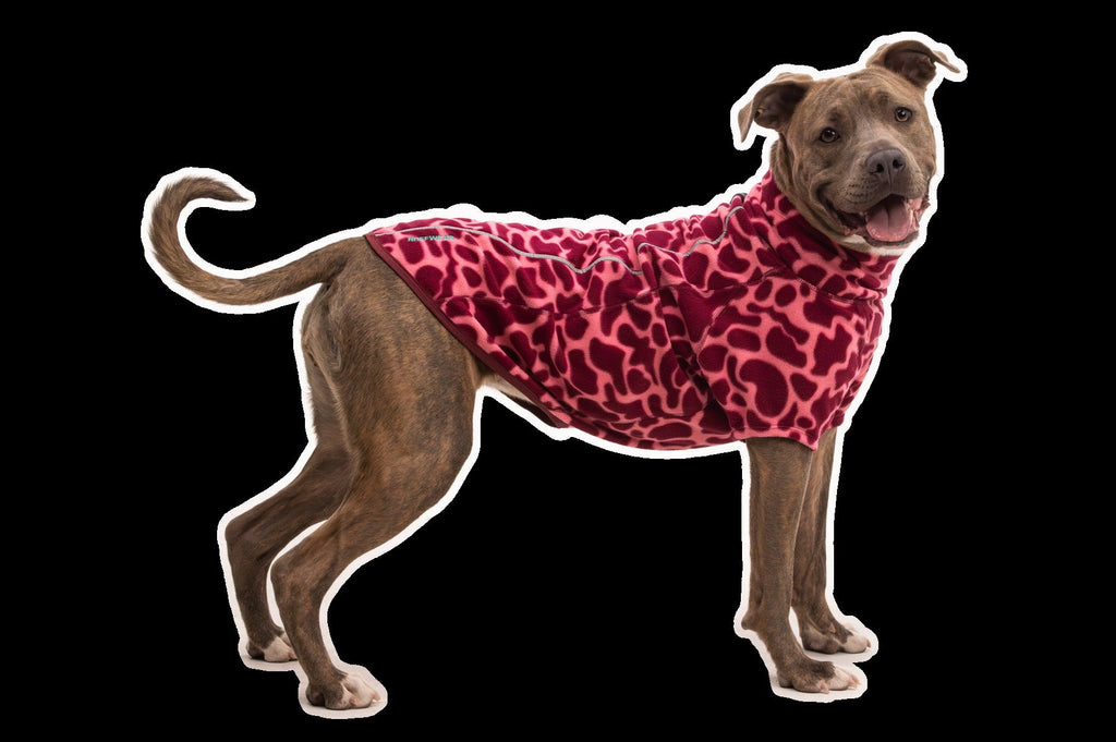 Climate ChangerTM Fleece Jacket