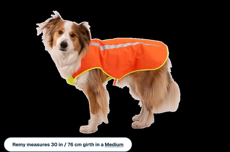 LumenglowTM High-Vis Vest