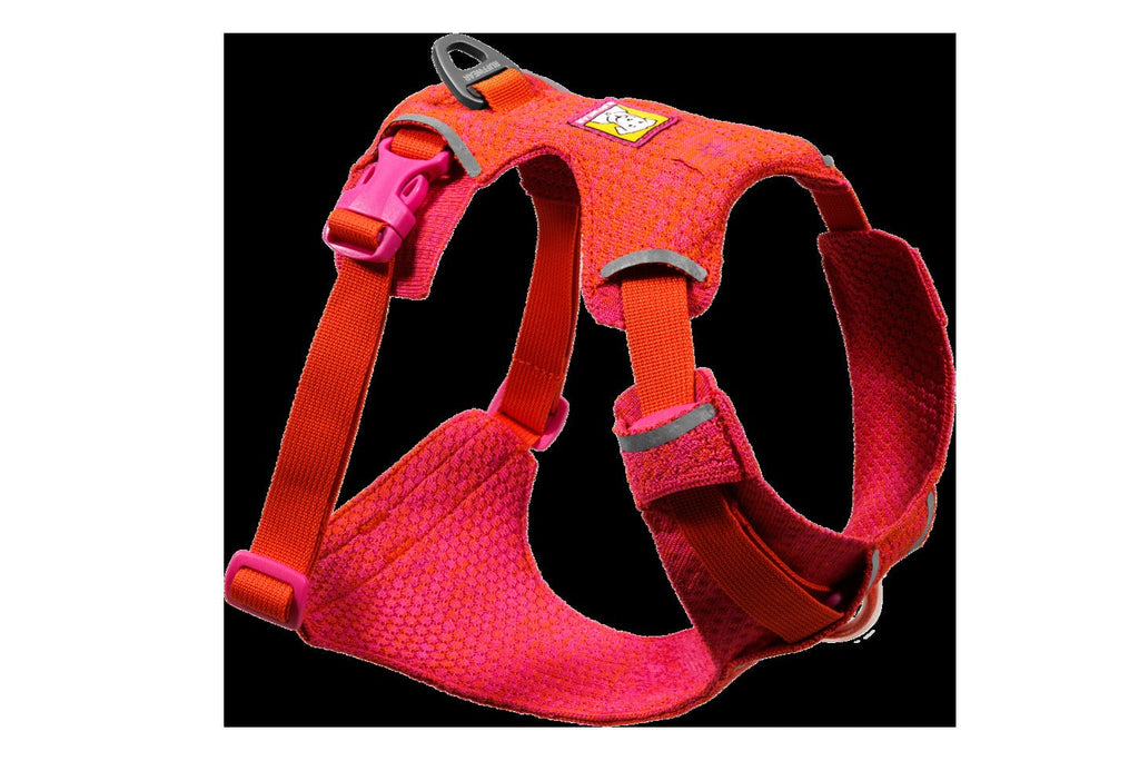 Front Range® Flex Harness