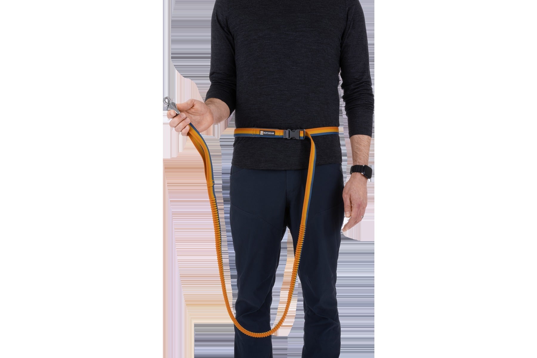 RoamerTM Bungee Dog Leash