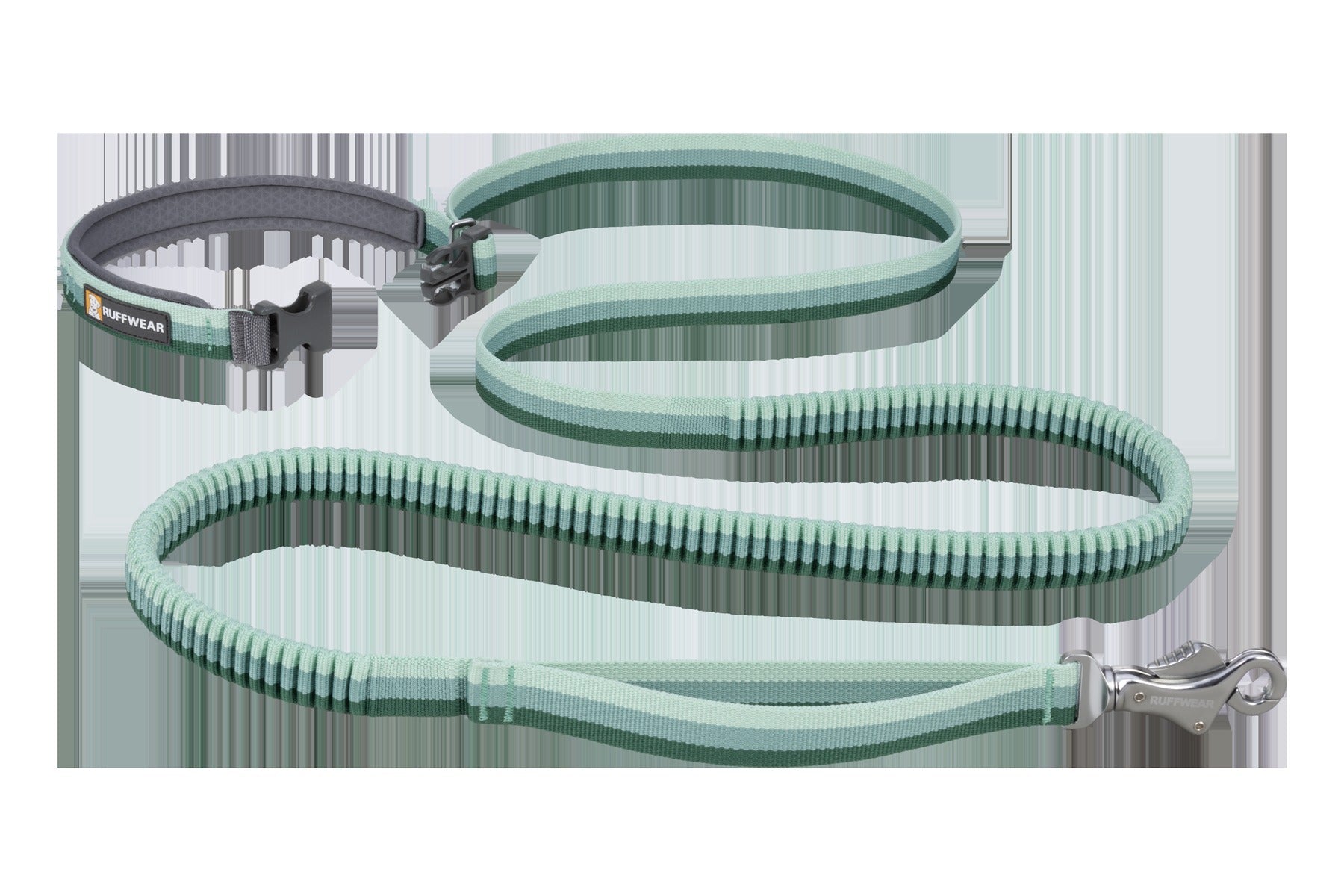 RoamerTM Bungee Dog Leash