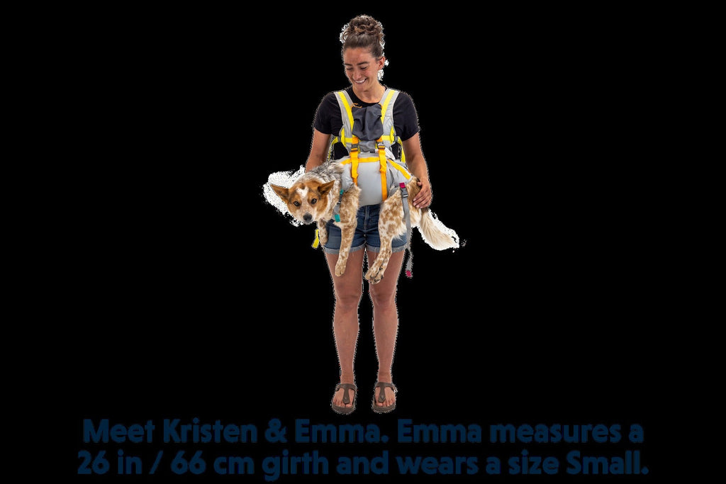 BackTrakTM Dog Evacuation Kit