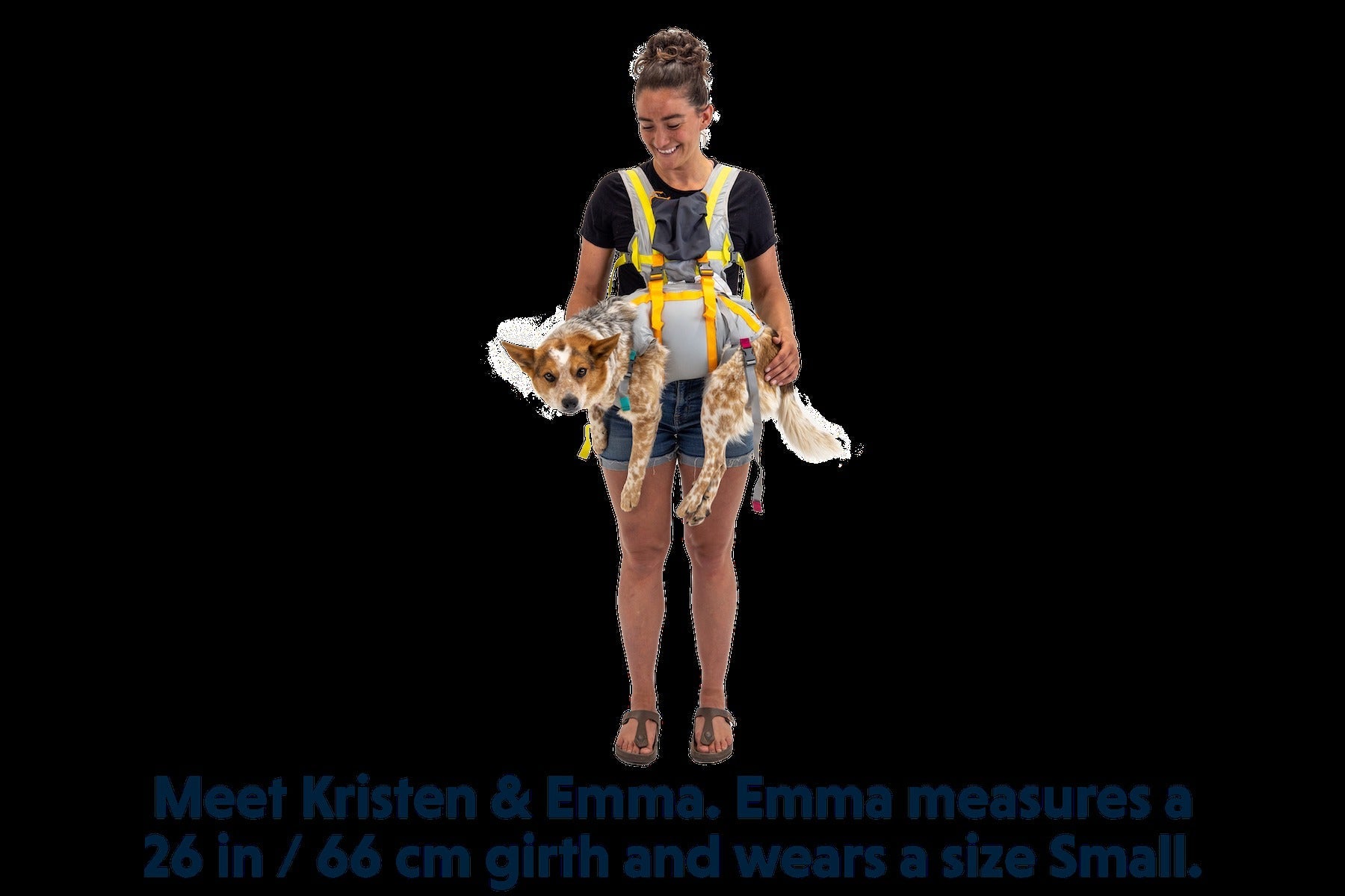 BackTrakTM Dog Evacuation Kit
