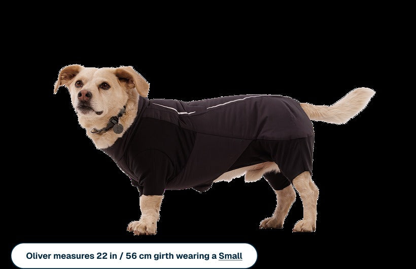 Powder HoundTM Waterproof Insulated Coverall