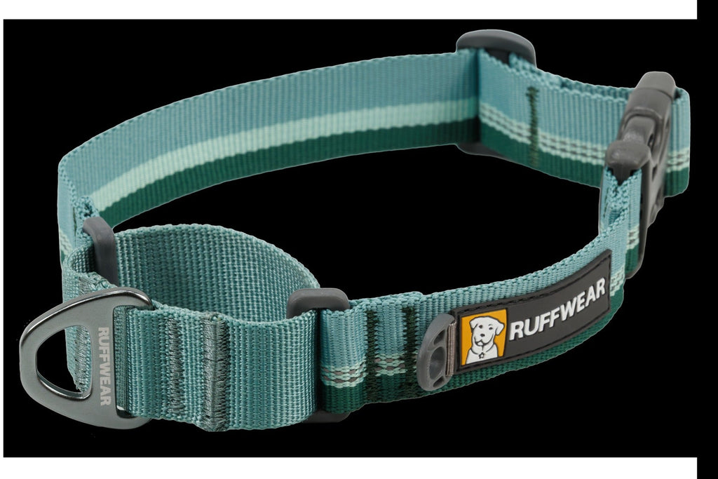 Web ReactionTM Martingale Dog Collar With Buckle