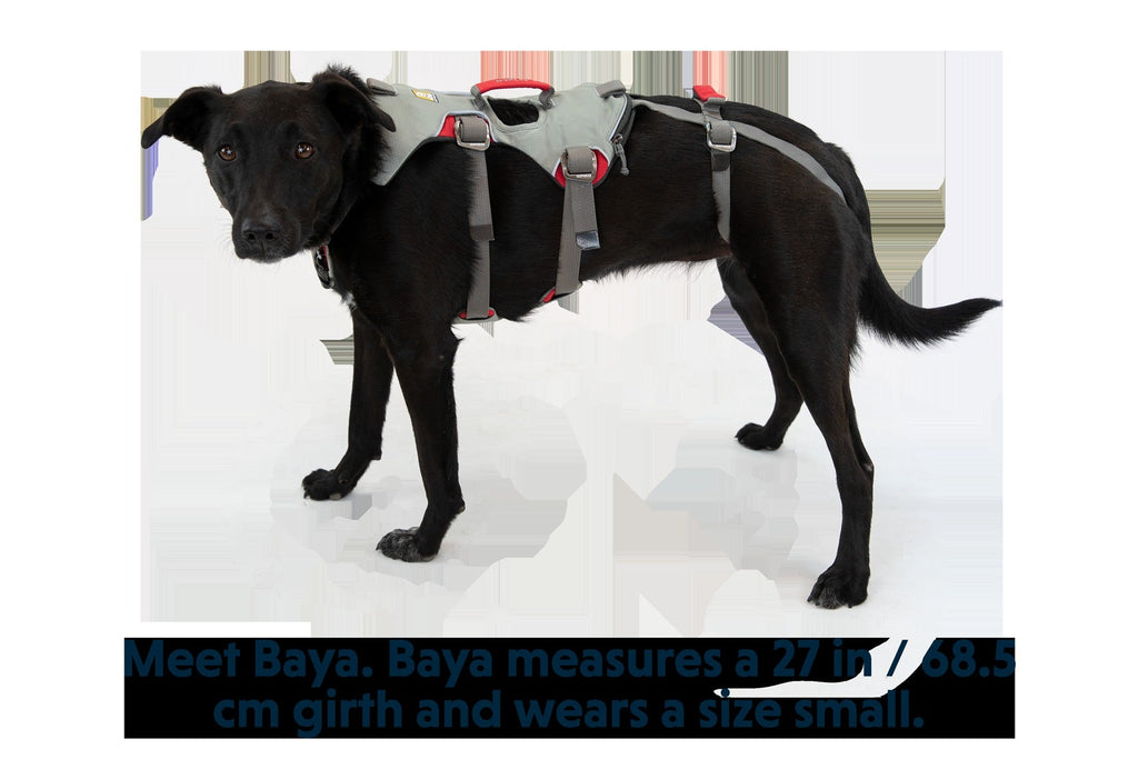 DoublebackTM Full Body Dog Harness